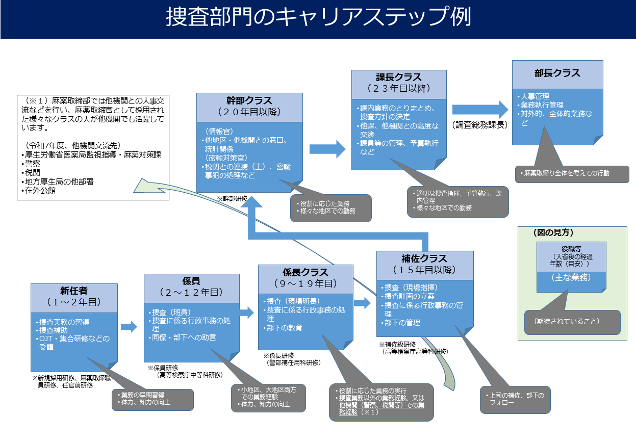 キャリアステップの図