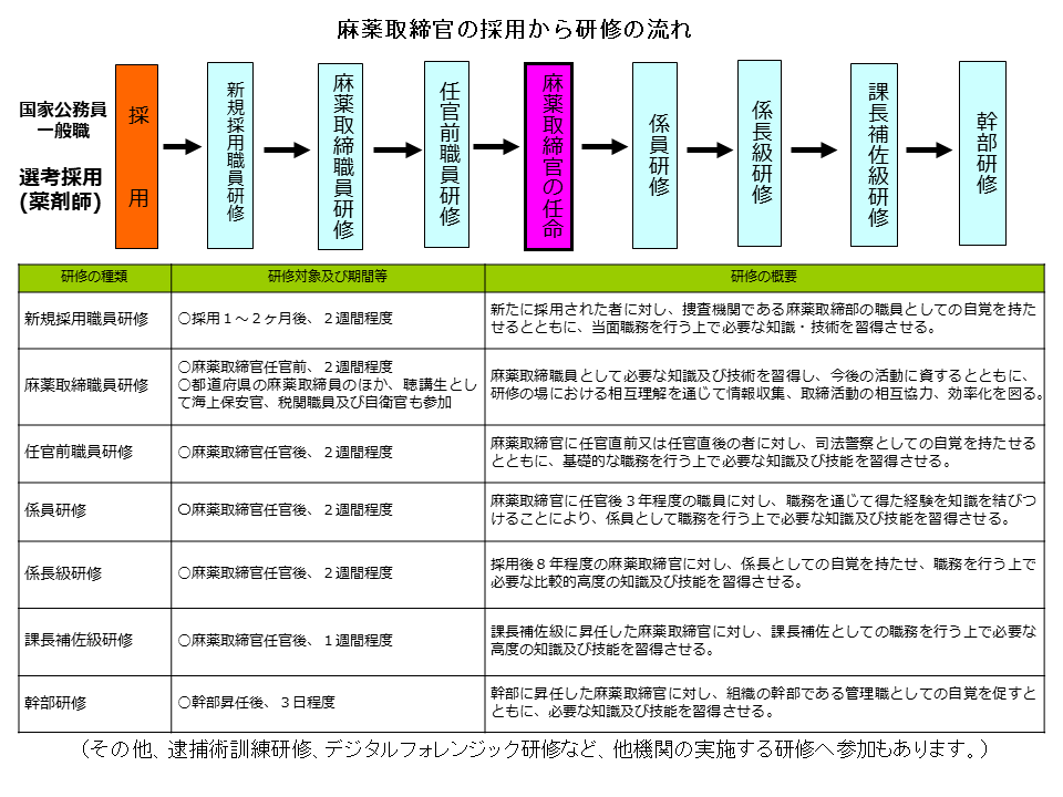 麻薬取締官の採用から研修の流れ