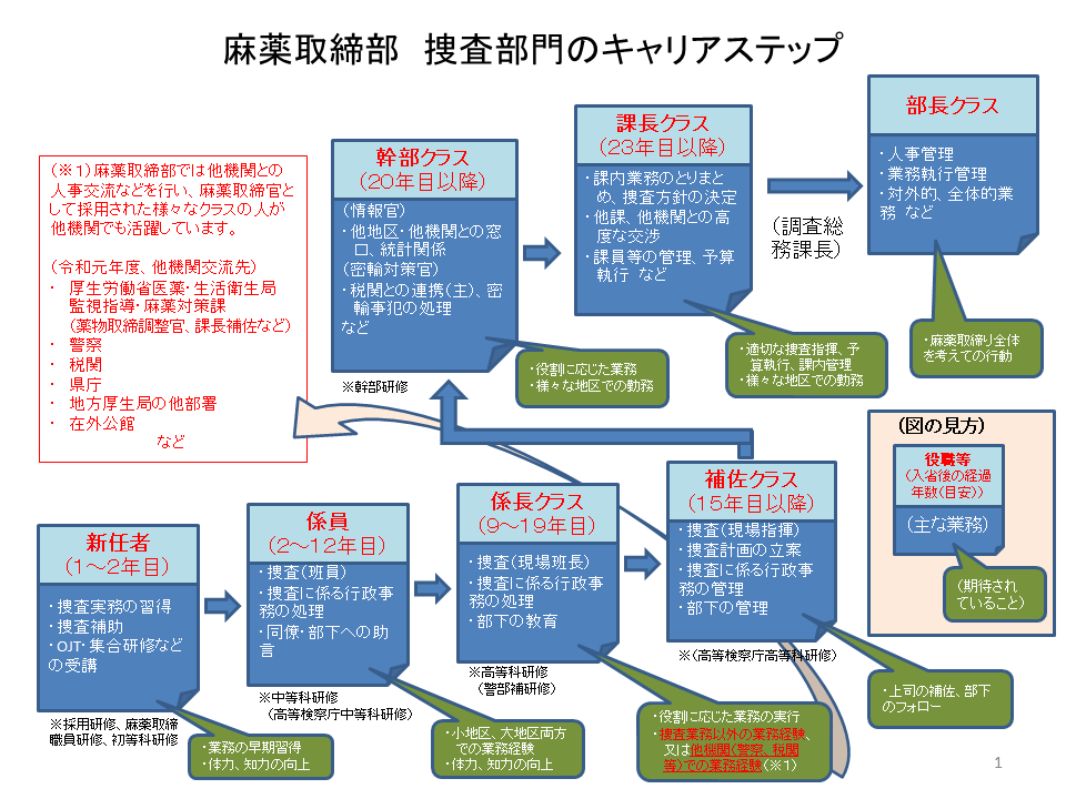 キャリアパス 麻薬取締官 ウェブサイト